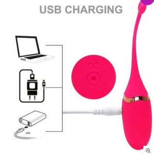 Vibrating Fish Shaped Egg With Wireless Remote Control And USB Charging Sex Toy For Women